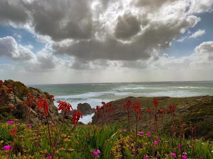 Le Onde Villa Torre dei Corsari Dış mekan fotoğraf